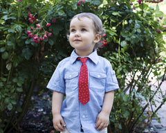 Red with Stars Neck Tie