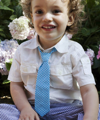 Blue Gingham Neck Tie