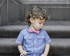 Red Gingham Bow Tie