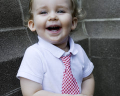 Red Gingham Neck Tie