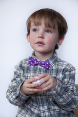 Purple with Dots Bowtie